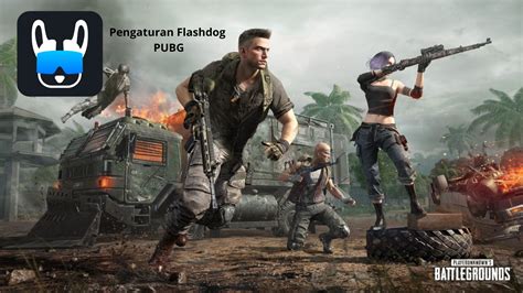 pengaturan flashdog pubg dengan Rate terbaik voucher level murah yang cashback image 1