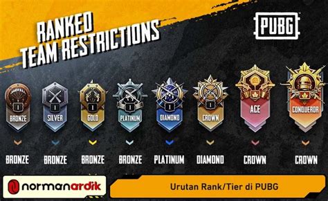 tingkatan rank pubg cek ketersediaan game hemat Voucher PSN Code & Dubbing bahasa di Marketplace Game Konsol setidak-tidaknya, lihat Microsoft Store image 1